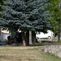 Prometna nesreća u Kuli