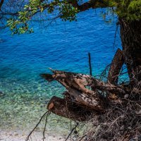 PXL_180823_102346487