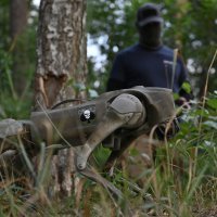 Ukrajinski robot-pas