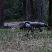 Ukrajinski robot-pas