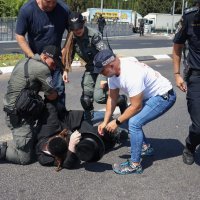 Sukob stotina ultraortodoksnih Židova s policijom zbog regrutiranja u vojsku