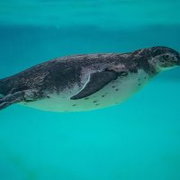 Imaju uvrnute seksualne apetite