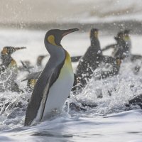 Imaju uvrnute seksualne apetite