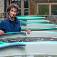 Periske koje čuvaju u bazenima u akvarijumu pokušat će razmnožiti i vratiti u more