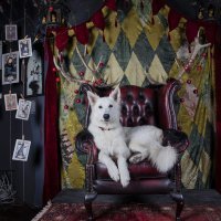 Muzej zaboravljenih priča