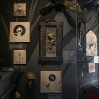 Muzej zaboravljenih priča