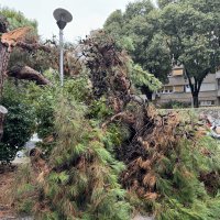 Posljedice nevremena u Splitu