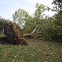 Posljedice nevremena u Varaždinu