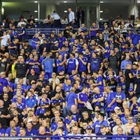 Bad Blue Boys; Dinamo - Qarabag, Liga prvaka, 20.8.2024.