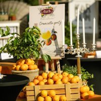 Spektakularni ljetni white party D’or beach cluba