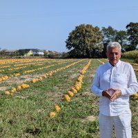 Dan polja uljne tikve