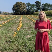 Dan polja uljne tikve