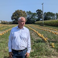 Dan polja uljne tikve