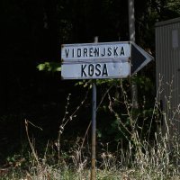 Smrt u Vidrenjačkoj Kosi