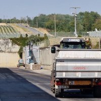 Berba grožđa na Belju