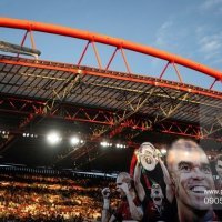 profimedia-0905090065