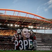 profimedia-0905090064