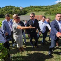 Na Plešivici održana diplomatska berba grožđa