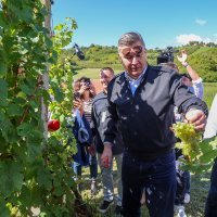 Na Plešivici održana diplomatska berba grožđa