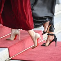 Švedska princeza Madeleine