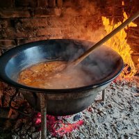 Honor Magic V3 primjeri fotografija