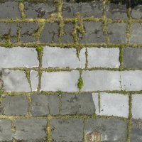 Znanstveno-učilišni kampus Borongaj