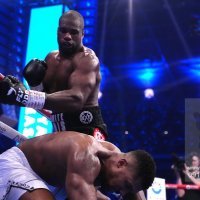 profimedia-0910498251