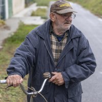 Vrhunac vodenog vala poplavio Zeleni otok uz Dunav