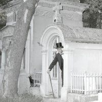 Clémence Elman, (huntitled)