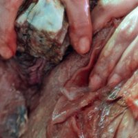 Julie Folly, High Vibrations Frequencies