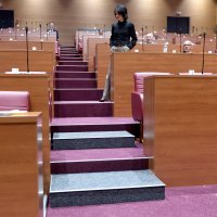 Nove stepenice u sabornici