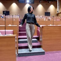 Nove stepenice u sabornici