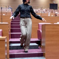 Nove stepenice u sabornici