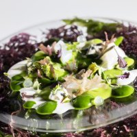 IL MILIONE_MAREA ALTA_ 06660