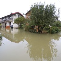 Poplavljeno naselje Brodarci uz rijeku Kupu, stanovnici spašavali  životinje