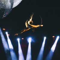 Cabaret dinner show by MINT 04