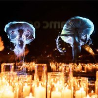 Završio sedmi kongres TAMC