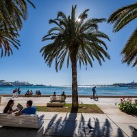 Splitska Riva - ilustracija