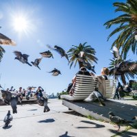 Splitska Riva - ilustracija