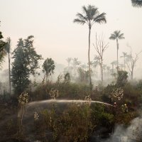 Požar u području Amazone u Brazilu