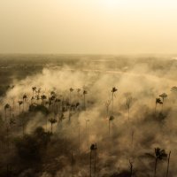 Požar u području Amazone u Brazilu