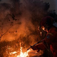 Požar u području Amazone u Brazilu