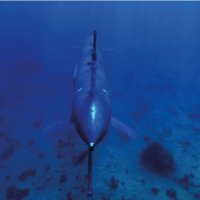 Dron podmornica BlueWhale