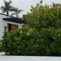 Kuća Matthewa Perryja