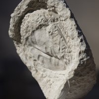 Sandra Nejašmić Pirnat, atelje na Braču