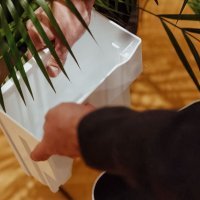 Slika zaslona 2024-11-13 u 06.38.43