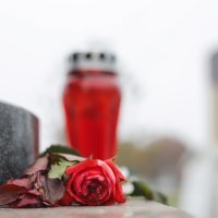 Kolona sjećanja na žrtvu Vukovara