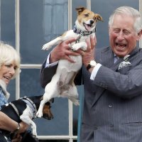 Kraljica Camilla i kralj Charles s psima