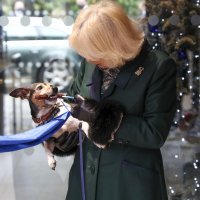 Kraljica Camilla s psom