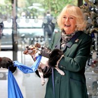 Kraljica Camilla s psom